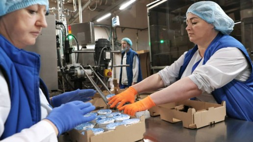 ���� �� �������� ��������� ������: ��� ���������� ���������� ���������?