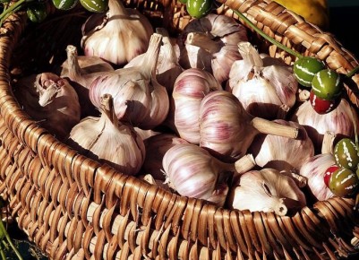 Как правильно подготовить чеснок к посадке для богатого урожая