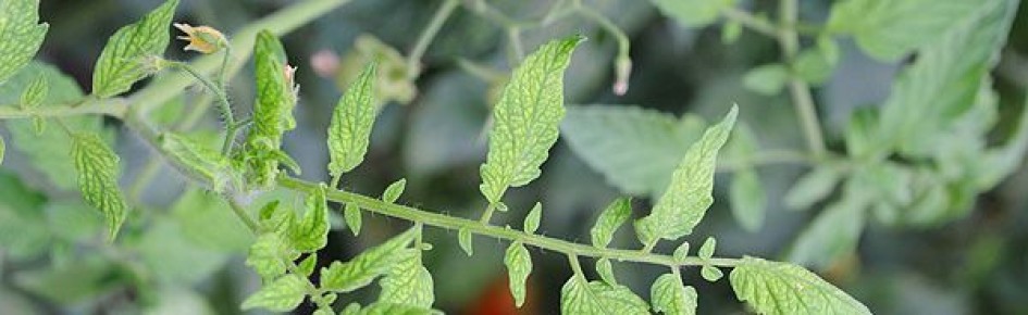 ��� ������, ���� �� ������� ����� �������: �������� � ������������