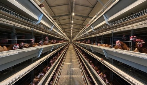 �������� ������� ��� ������������: ����� ��������� ��� ���������� � 2026 ����