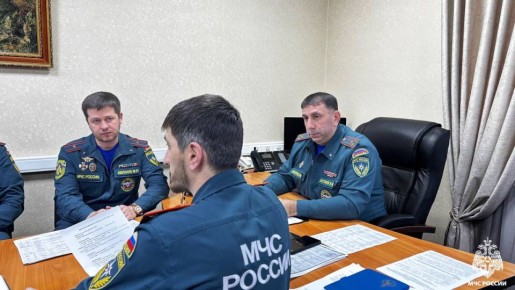 В Главном управлении обсудили цифровизацию надзорной деятельности и подготовку к пожароопасному сезону