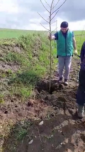 ����� ������ ������ � ��������� �������� 200 �������� ������