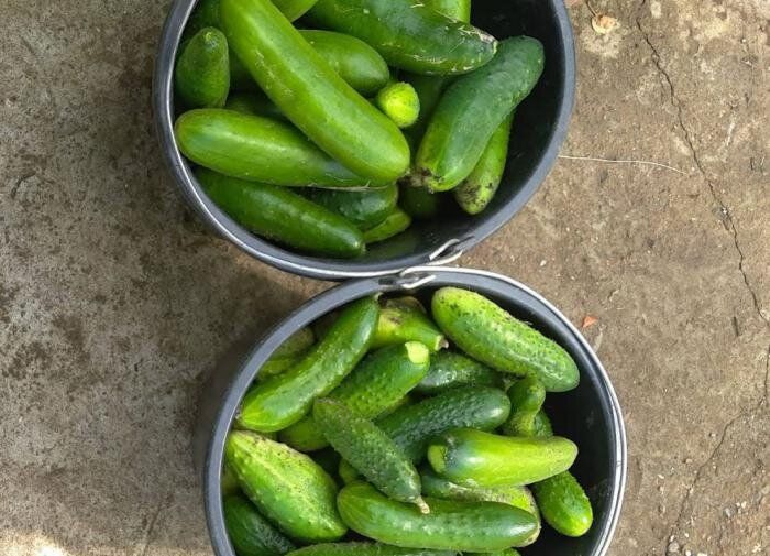 ��������� ������ � ��� ��������� ������ � ��������� �������