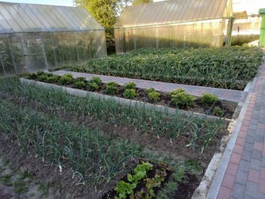 ��� ���������� ����������� ������� � �������� ������