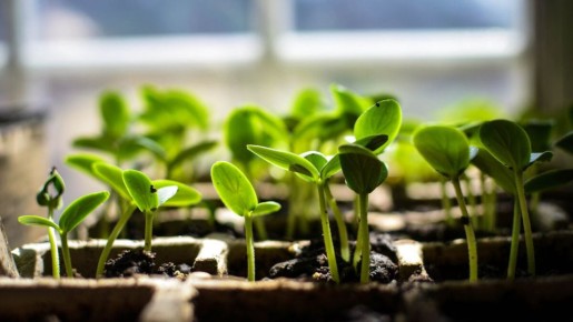 ��� �������� ���������������� ������ ��� ����������� �������