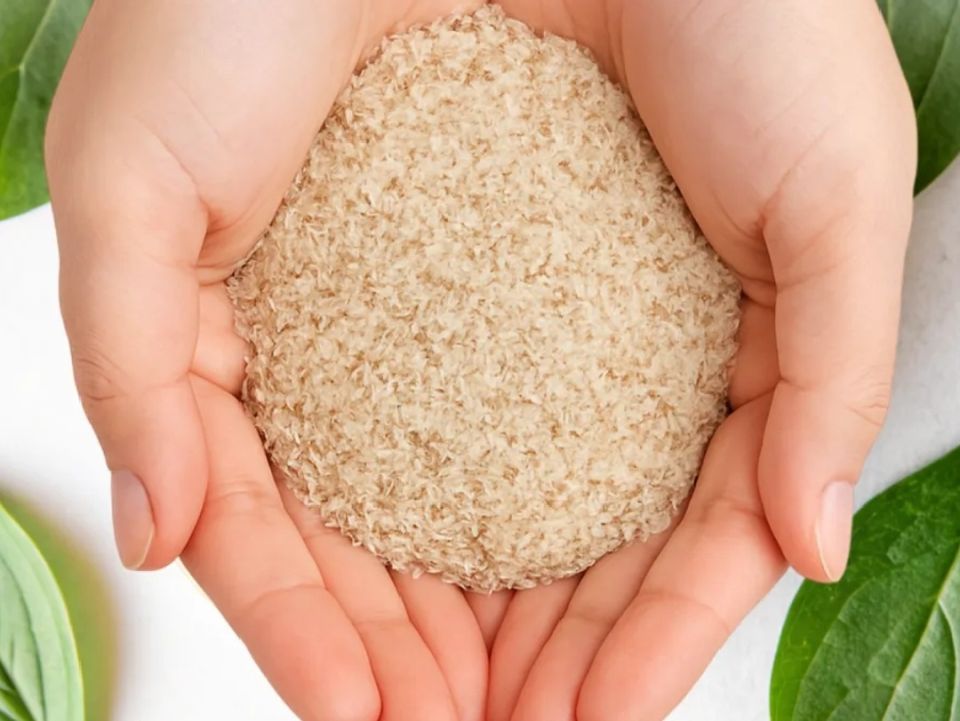 ��� �������� �������� �������� ���������� ��������� ��������� ��� ������� �����������