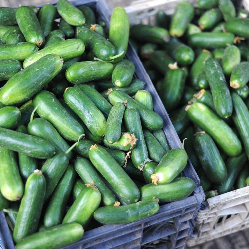 ������� ��������� ������: ��� ����� �������, ������� ����� ����������� � ���� ������