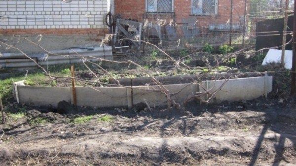 �������� ������ � ���������: ��� ��������� ����������� ���� ��� �������� ������