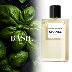 ������� � ����������: ����� ��������� ��������