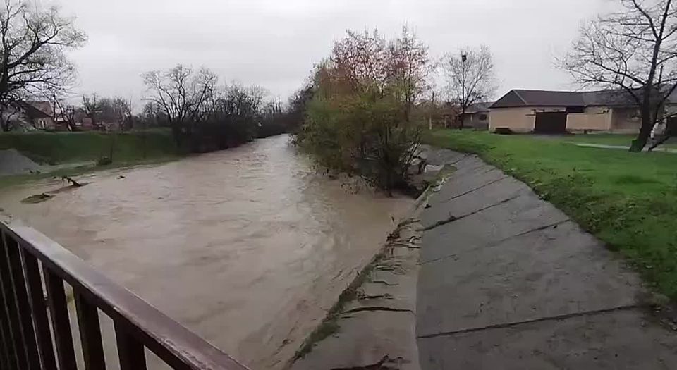 8 ����� ���� 5 ������ ������� ���� � ���� ����� �������� �� ������� �������