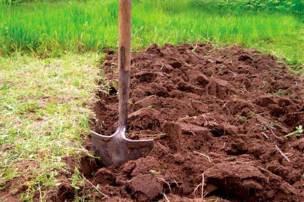 ����� ������: ����� ������������ �� ���������?