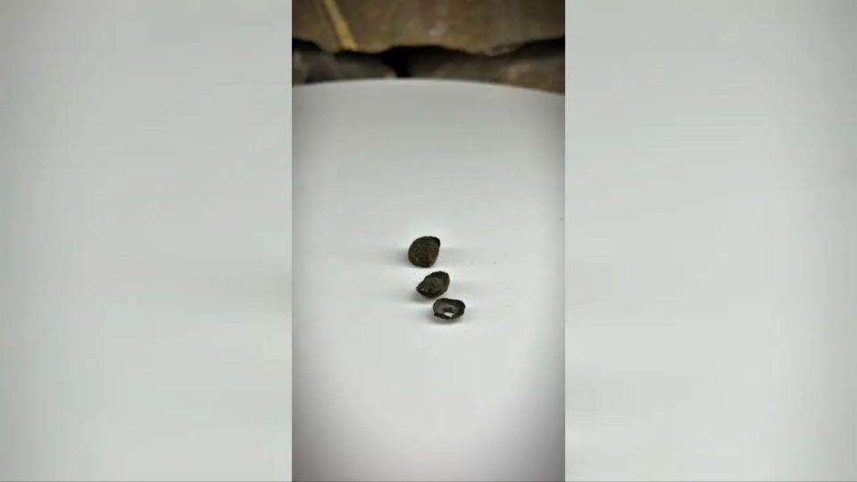 � ����� ��������� ����� ���������� ������ �������� ���������