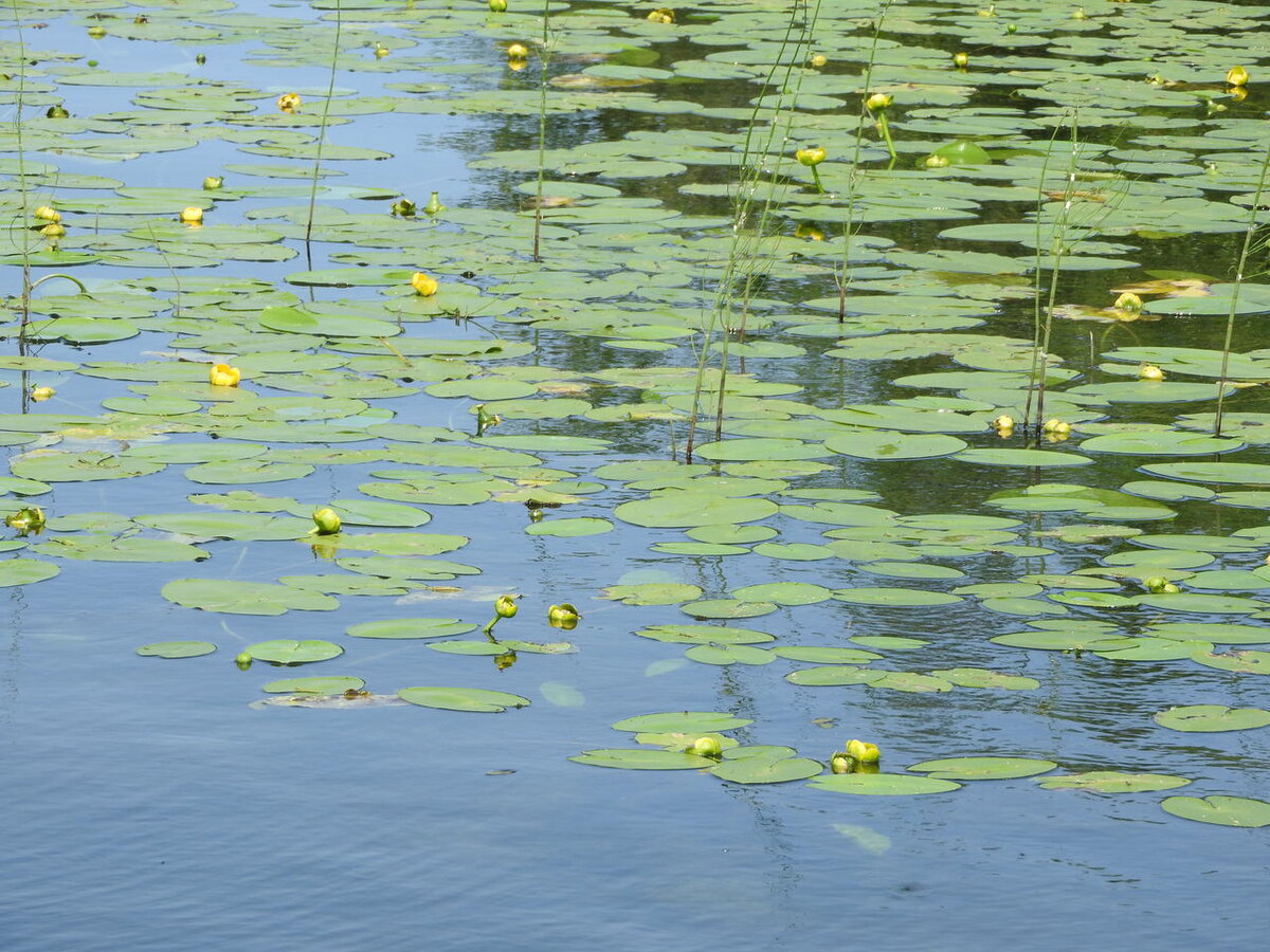 Новые правила рыболовства в Западной Сибири: что нужно знать