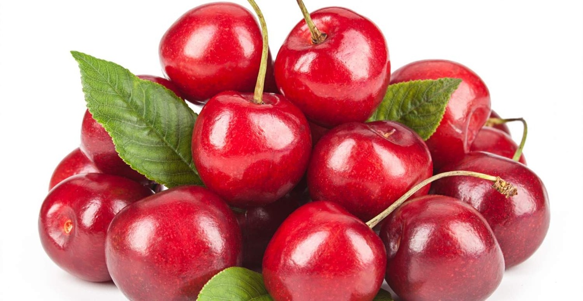 Черешня: от древности до современности