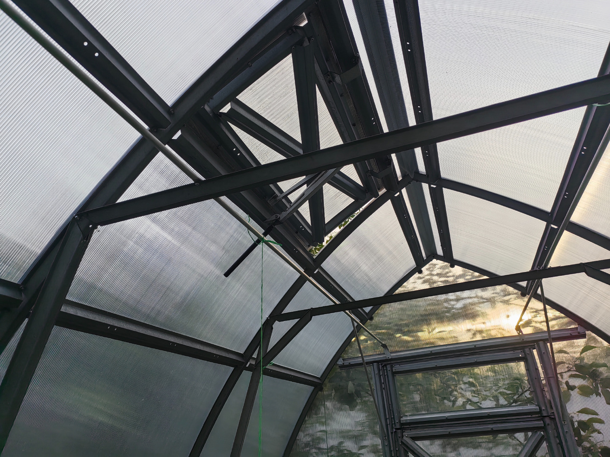 Причины увядания листьев огурцов: как спасти растения от неполадок