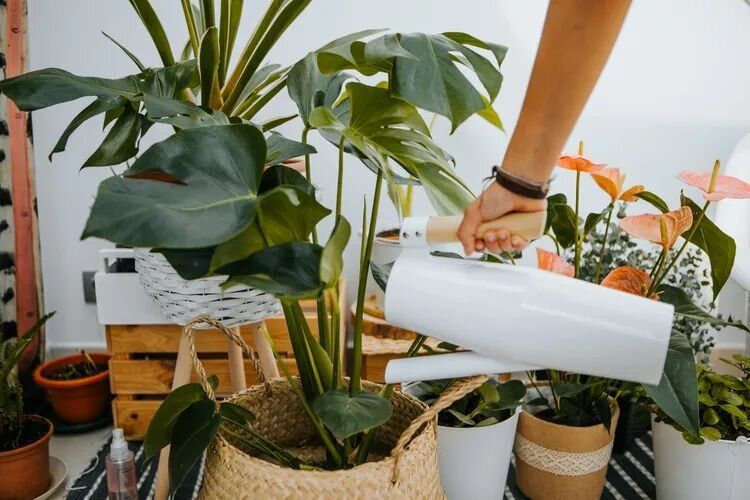 ��� ������ ����� ����������� ��� ���: ��� ��������� ��������� ��������