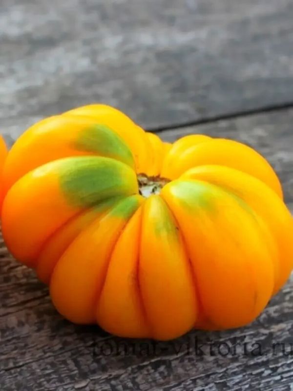 ����� ������� �������: ����� ����� ��� ������ �����