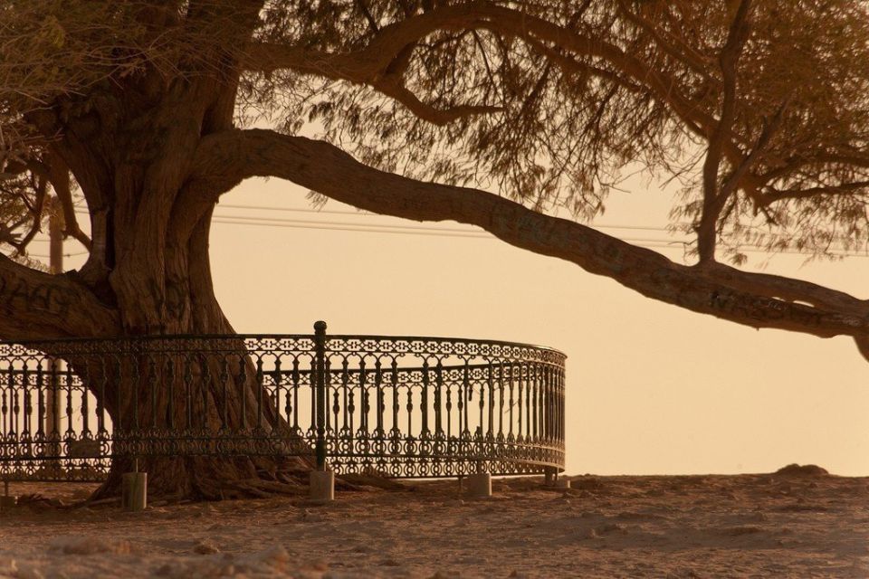 ������ �����: ������ ��������� � ������� ��������