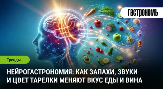 ����������������: ��� ���������� ������ ���� ���������������� ������������