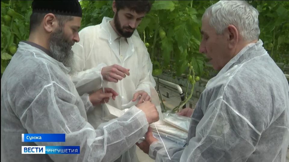 � ��������� ������������ �������������� ���������� ��������� ��������