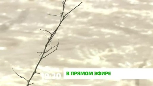 «В прямом эфире»: паводки, безопасность и уроки Дагестана