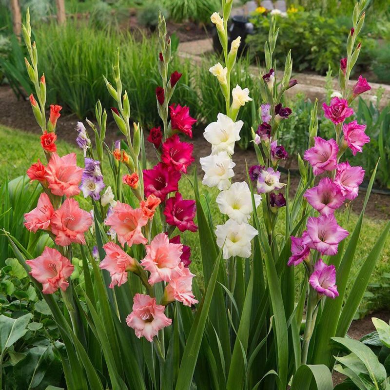 ����������: ��������� ����� ��� ����� � ������� ��������