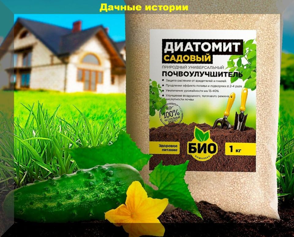 ��������: �������� �������� ��� �������� ��� ������ ����� �������?