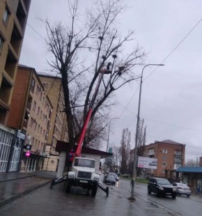 � ���������� ����������� ������� ���������