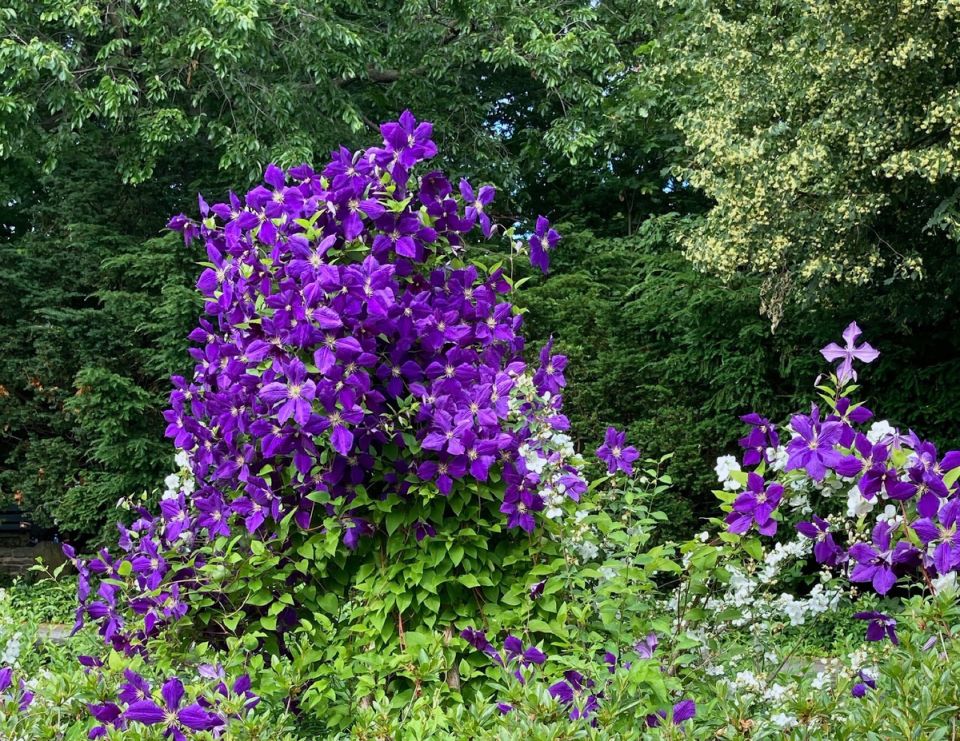 ��� ��������� ��������� �� ����������� ������: ������� � ������