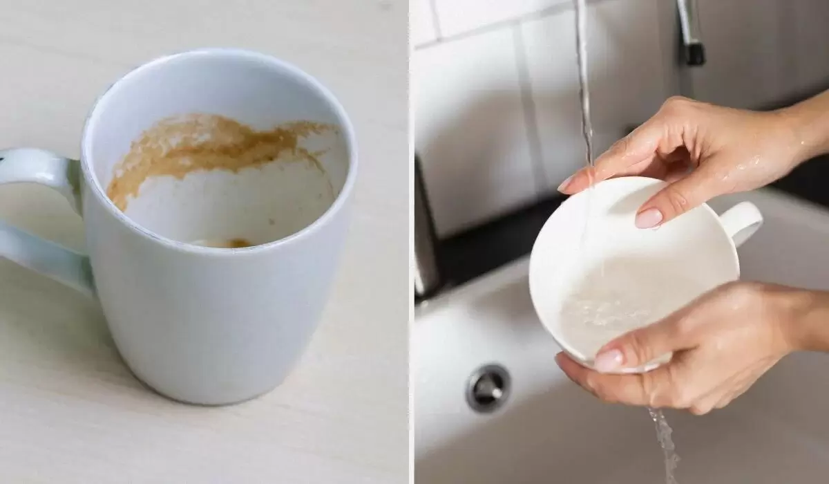 Необычные способы очистки чашек от налета: секреты бабушек в действии