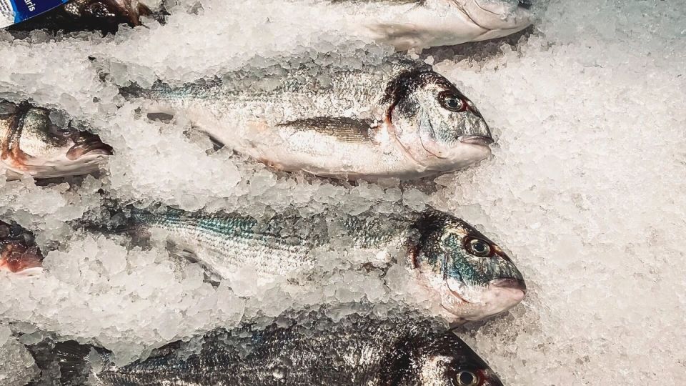 ������������ ����������: ��� ���������� � ������ �� ���� � ����������?