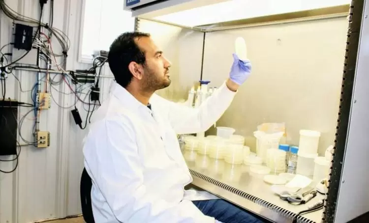 Новые угрозы для картофельного урожая: как фузариум меняет ситуацию