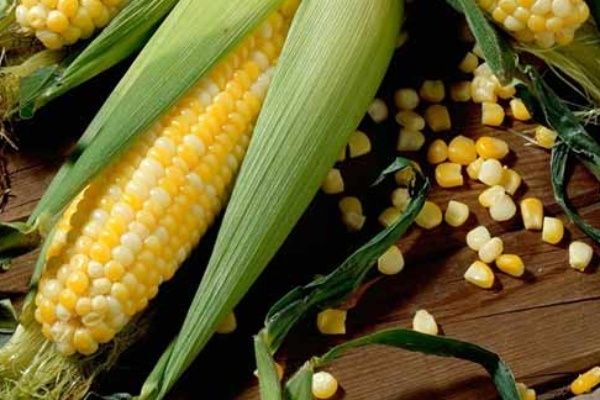 �������� ��������� ������: ������ ���� � �������� ����� ��� ���������