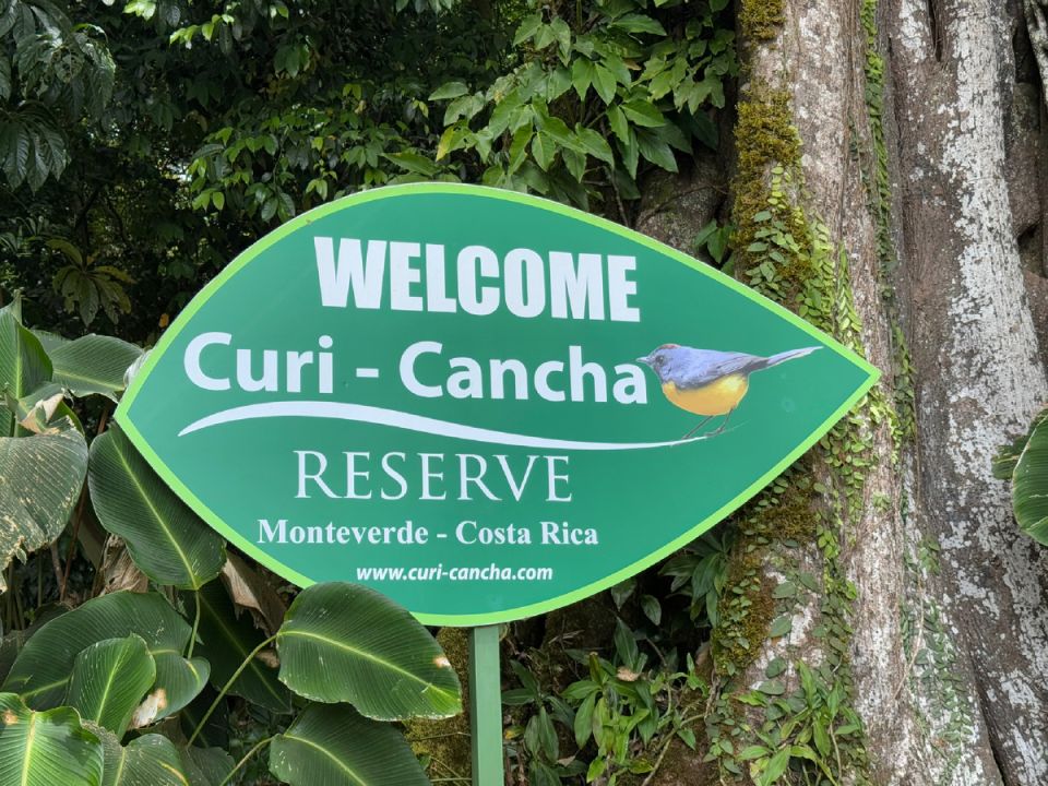 �������� ��� ���� ��� �������: ����������� � Reserve Curi-Cancha