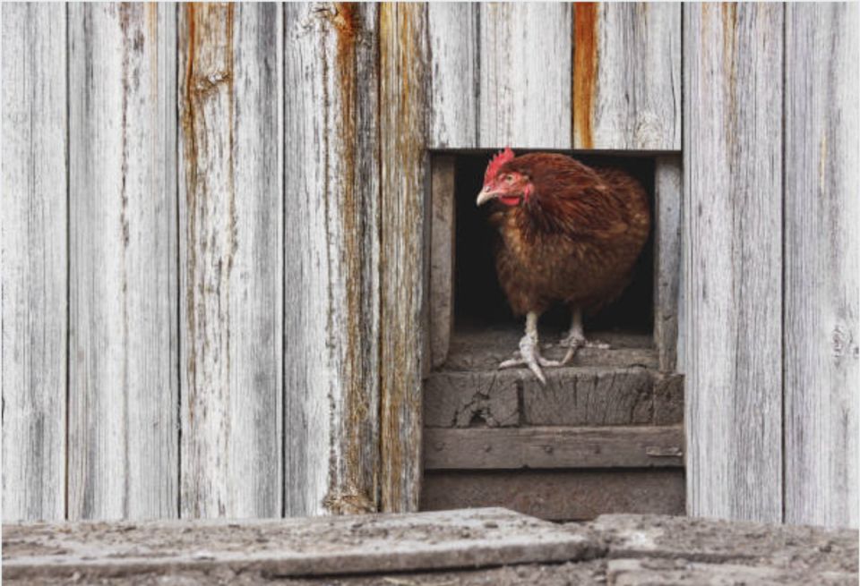 ����������� � ��������� ������ ����������� ����������