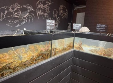 � ���� ��������� ��������������� ���������� �� ������������ ���������