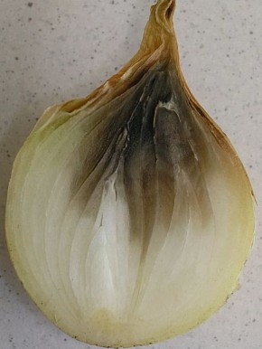 ������ ��� �����: ������� ������� ������