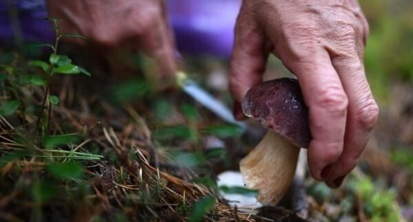 �� ����� �������� �������: �������� ���������� GPS-����� � ������������ ������� �����