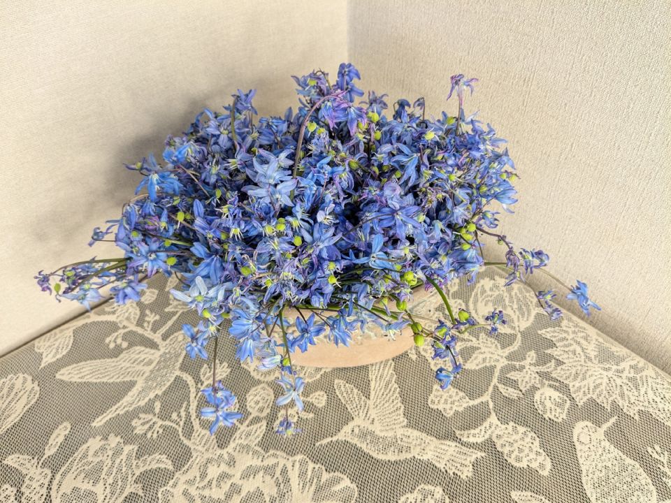 ������� ��������: ������ ������, ������� �������� ���� �� ��� ����