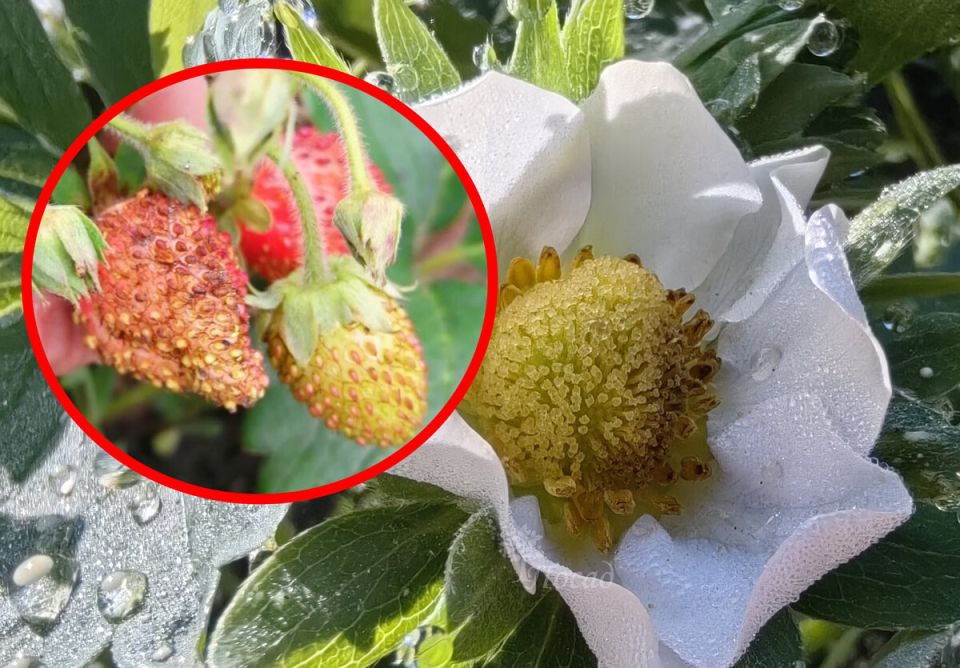 �������� ��� �������: ��� �������� ������ �� ��������� ���������