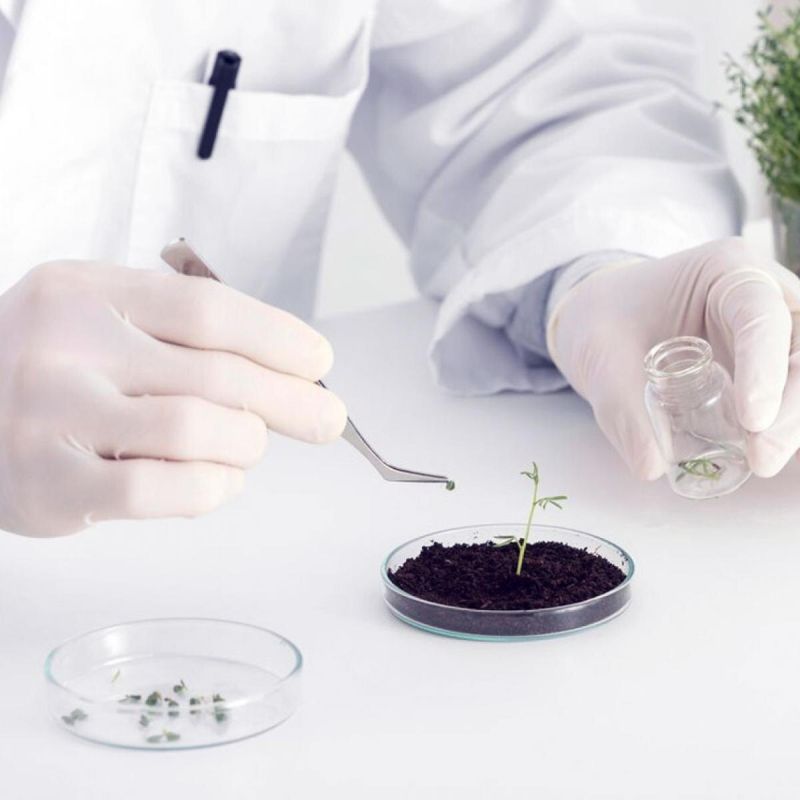 ��������� ��������� �� ������ ������� � �������� ����