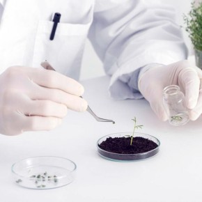 ��������� ��������� �� ������ ������� � �������� ����