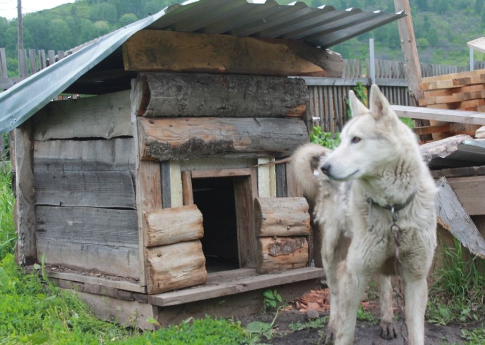 ��������� ������� ��� ������ ������������� �����