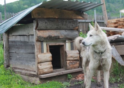 ��������� ������� ��� ������ ������������� �����