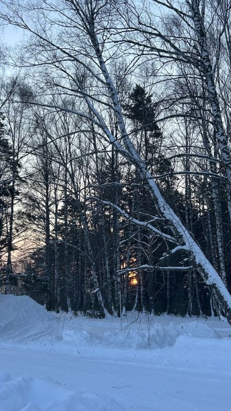 �������� ��������: �� ������ �� �����