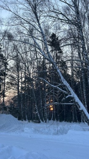 �������� ��������: �� ������ �� �����