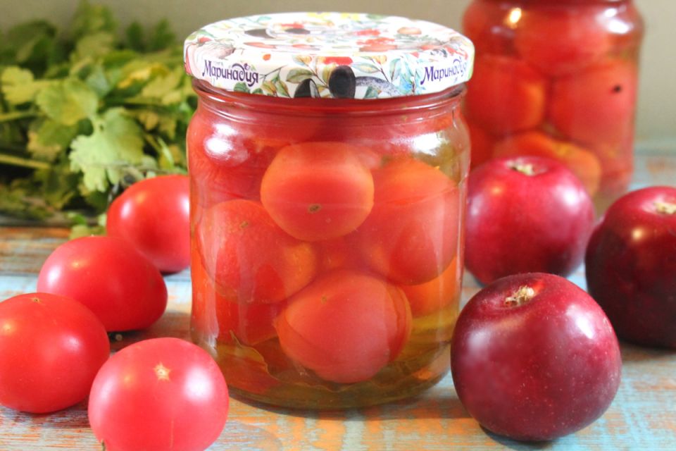 ��������� ������������ �������� � �������� ����: ������������ ������ �� ����