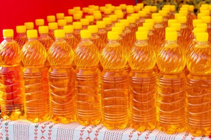 Проверка оливкового масла: потемки фальсификата в российских магазинах