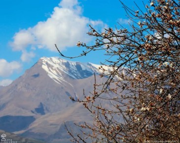 Так весну встречает Ингушетия