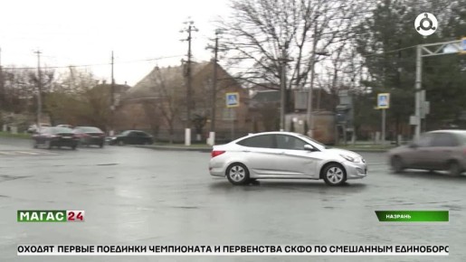 В Ингушетии озеленяют города в рамках Года экологии